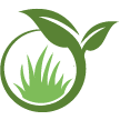 Marysville Lawn Clean Up