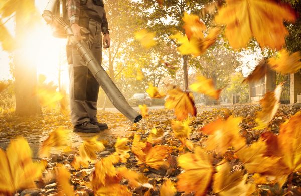 Leaf Blowing Service in Marysville