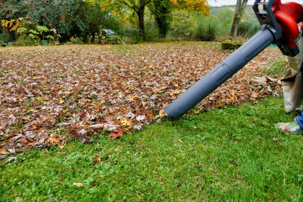 Leaf Vacuuming Service in Marysville