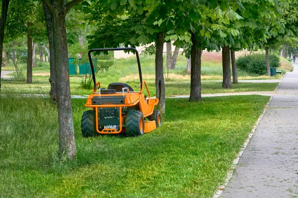 Landscaping Cleanup Service in Marysville