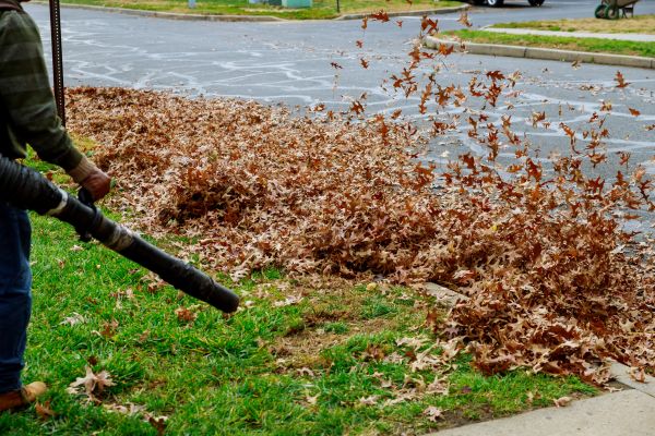 Garden Leaf Removal in Marysville
