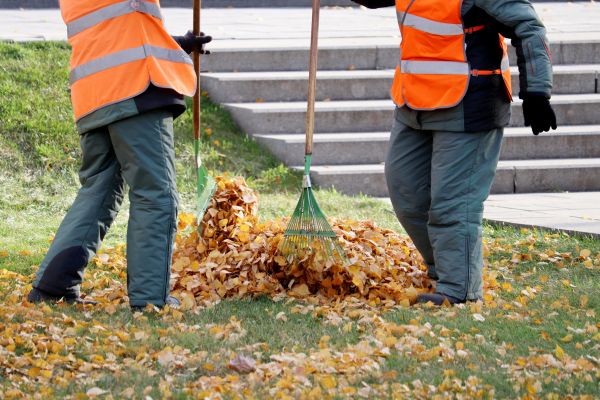 Leaf Hauling Service in Marysville