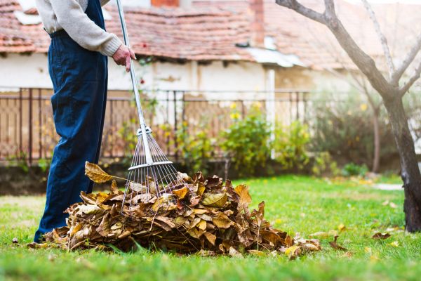 Spring Lawn Cleanup in Marysville