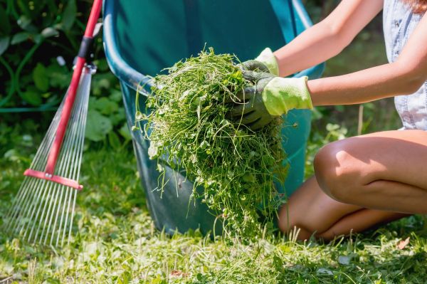 Lawn Spring Cleaning
