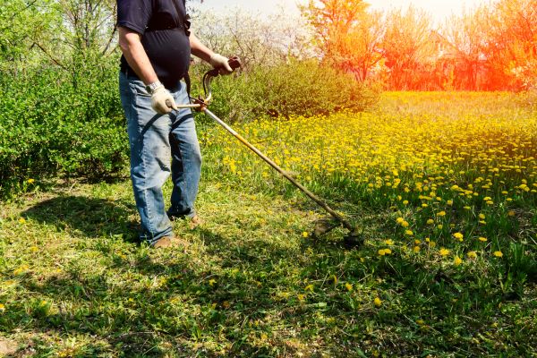 Yard Clearing Service in Marysville