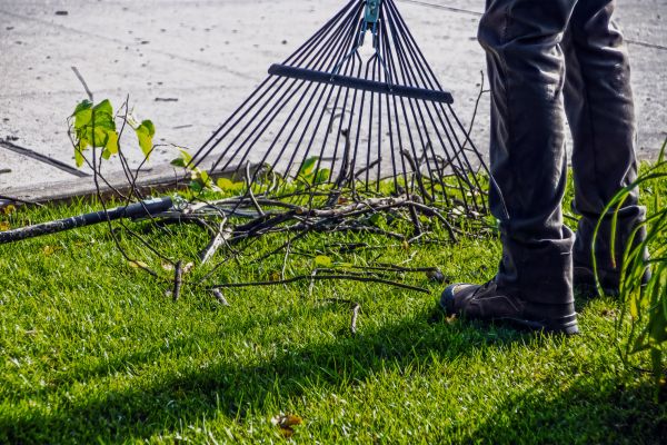 Yard Debris Cleanup in Marysville