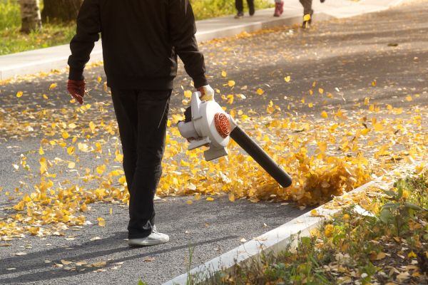 Commercial Leaf Removal in Marysville