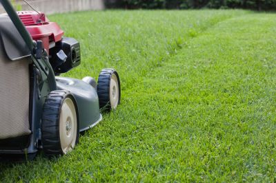 Spring Lawn Preparation