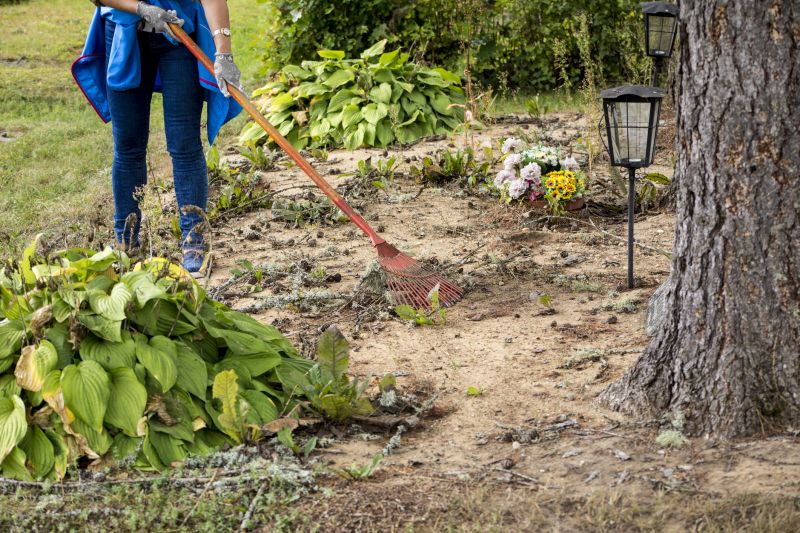 Winter Debris Clearing