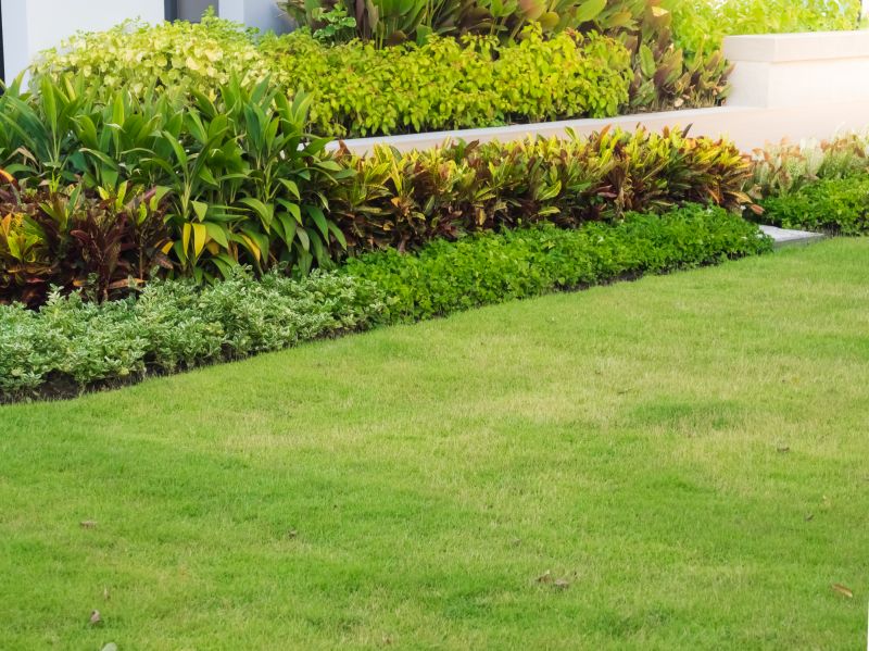 Landscaped Lawn